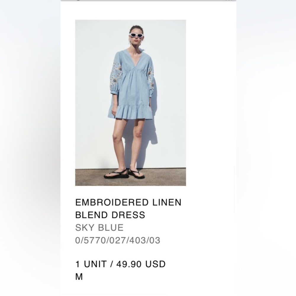 Like New Zara Embroidered Sky Blue Mini Dress